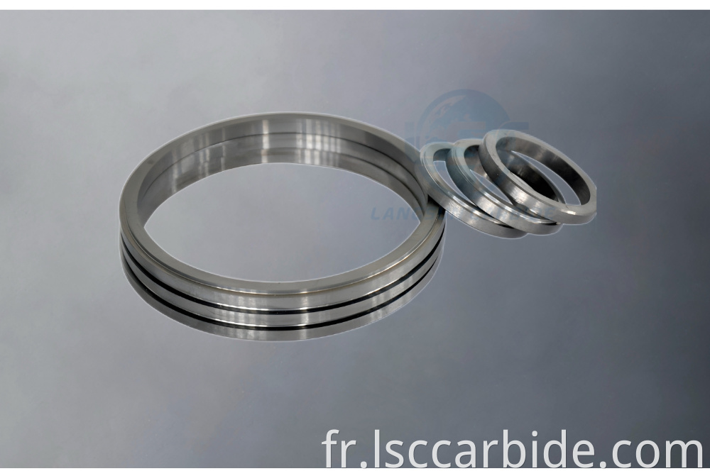 TUNGSTEN CARBIDE SEAL RINGS